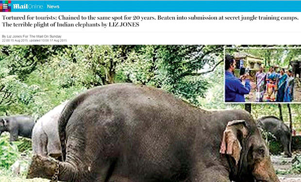 A screen shot of the story on the Daily Mail website. A screen shot of the story on the Daily Mail website.